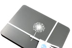 Dandelion Placemats In Grey